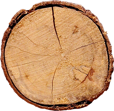 legno carnia
